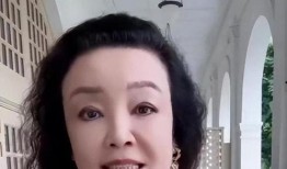 台媒爆料张兰董辉视频,引发舆论热议